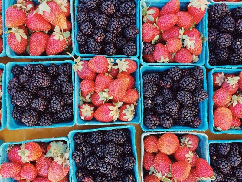 metabolism_food_berries