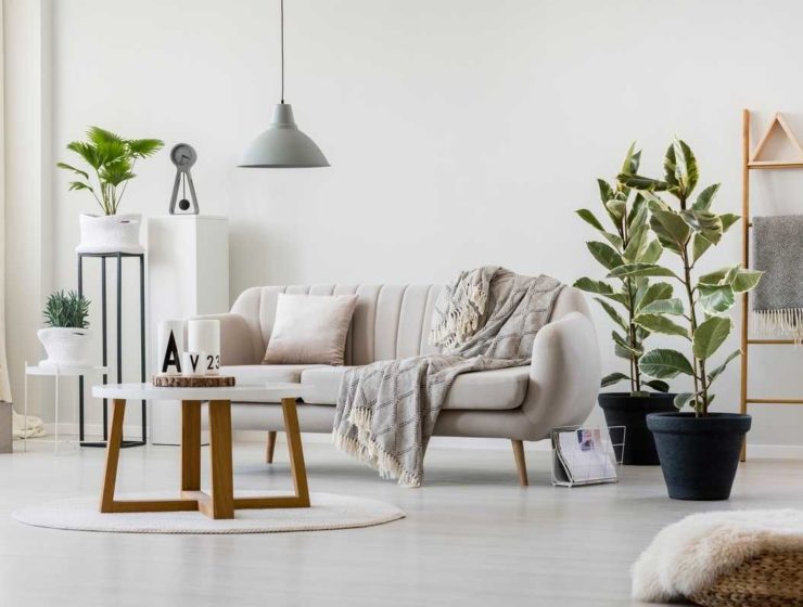Unique Coffee Table Decor Ideas