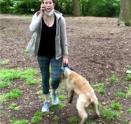 amy-cooper-1-e1590490470501-424x400-1 Amy Cooper