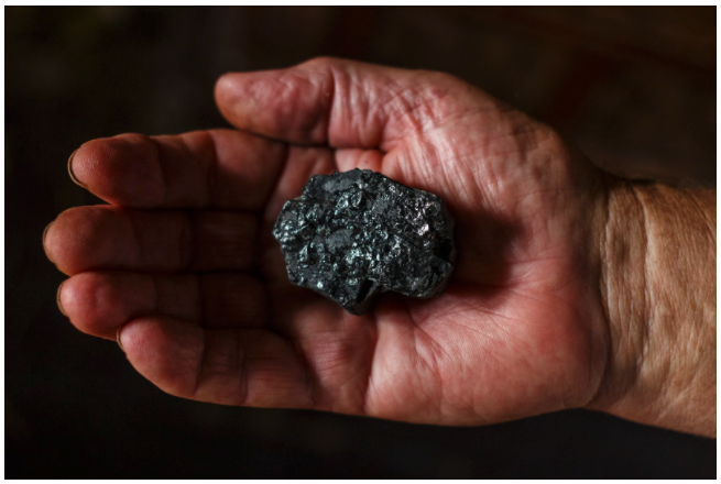 Shungite Stone
