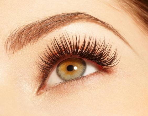 Eye Lash Products