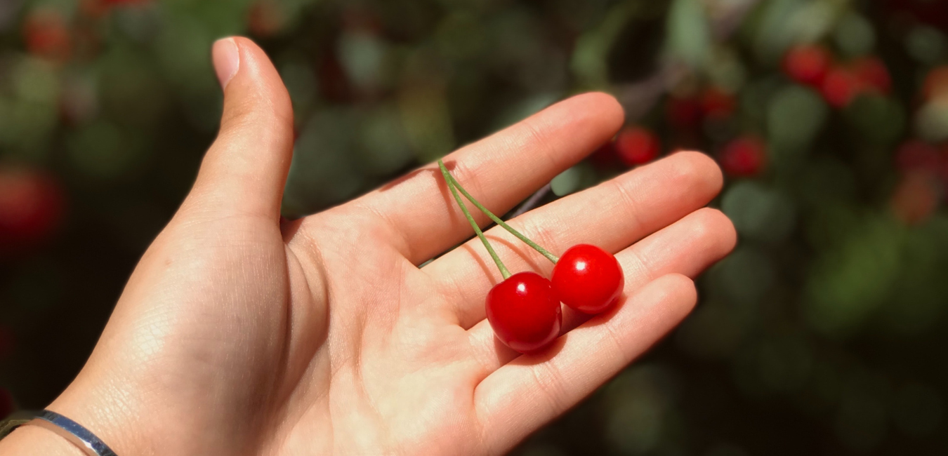 7-reasons-why-you-should-drink-cherry-juice
