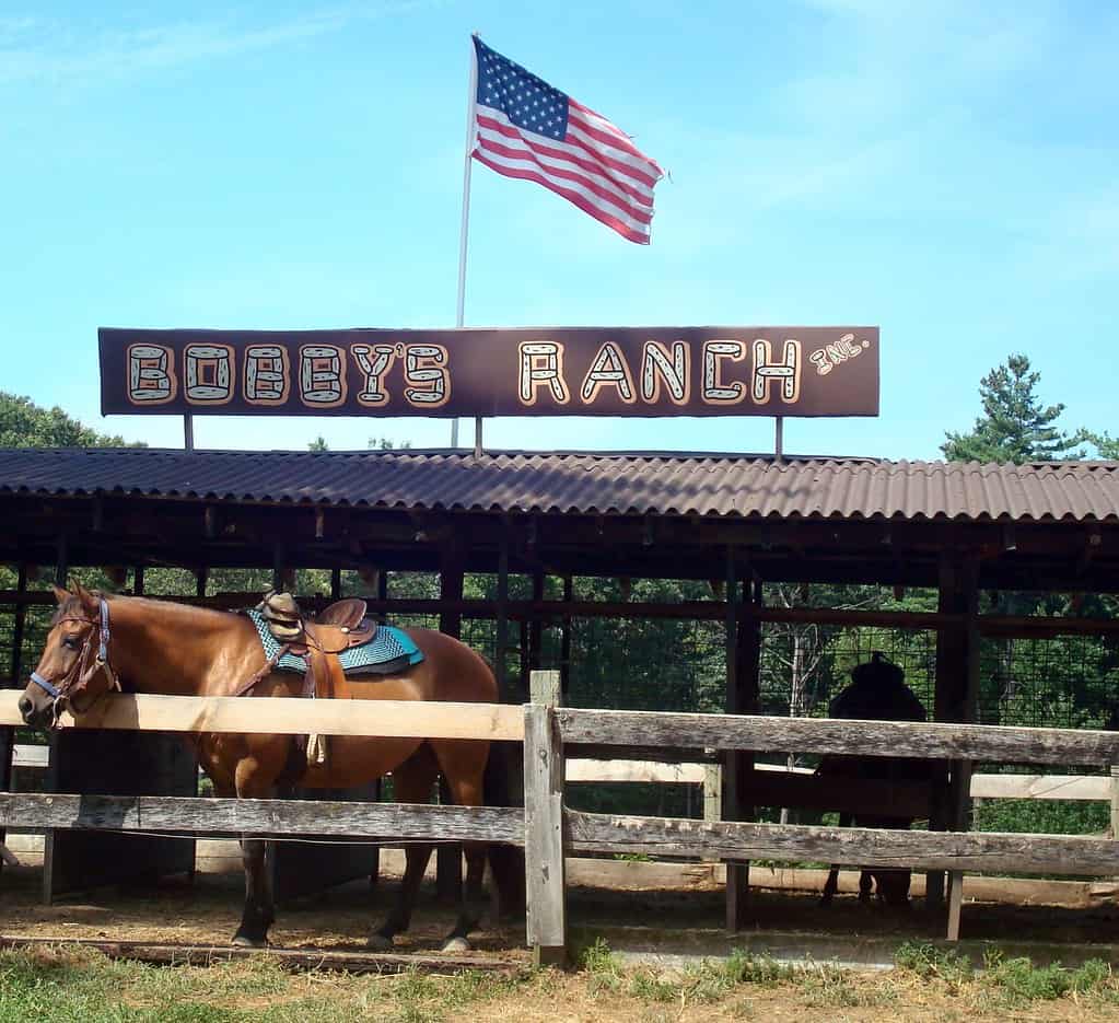 ccimage-4914334366_40285fd31b_b Bobby’s Ranch