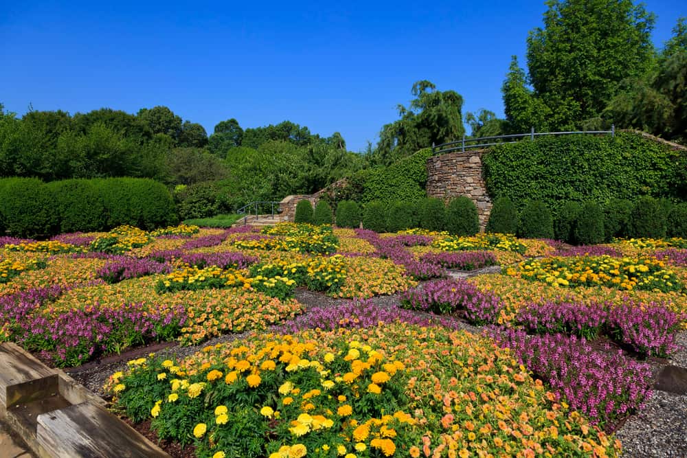 ccimage-shutterstock_1284094426 Botanical Gardens Asheville