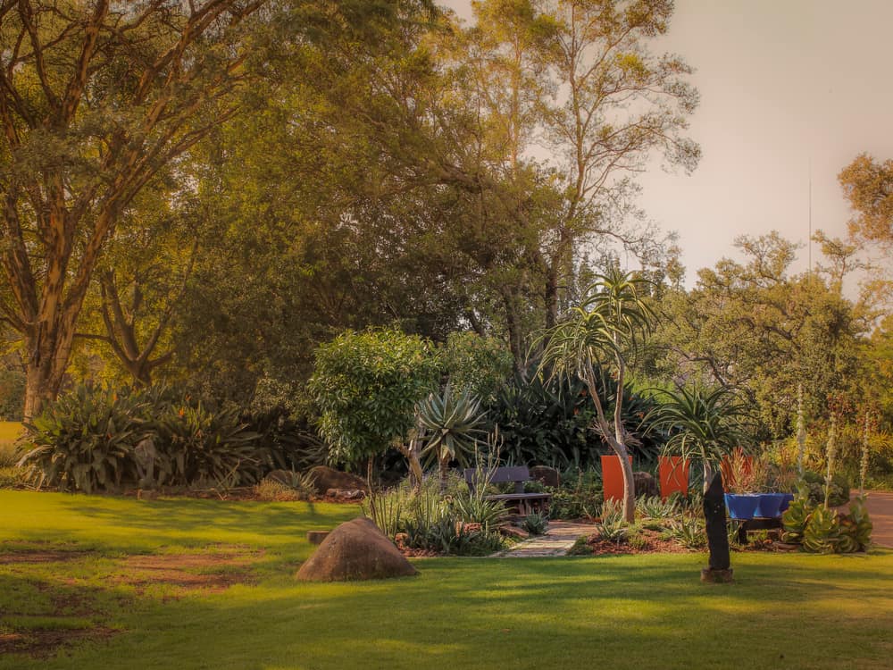 ccimage-shutterstock_1289672542 Pretoria National Botanical Garden
