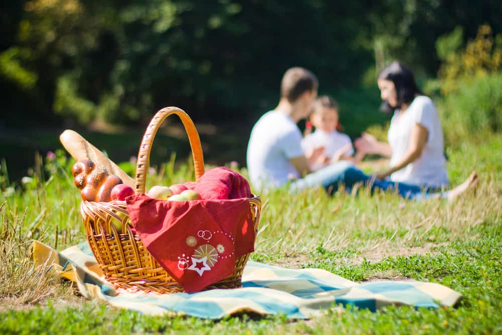 ccimage-shutterstock_152253587 Picnic