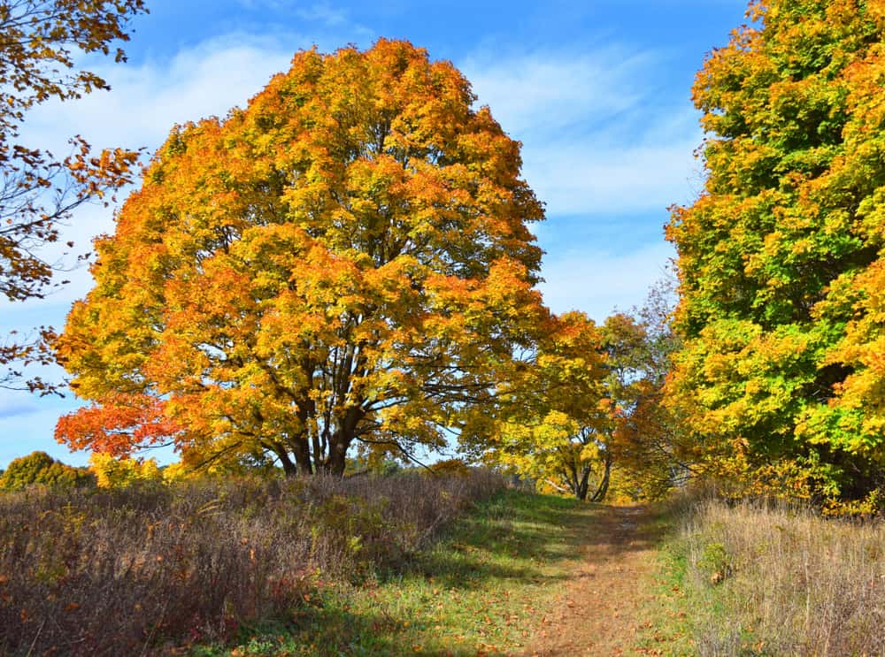 ccimage-shutterstock_1542644102-1 Bay Circuit Trail
