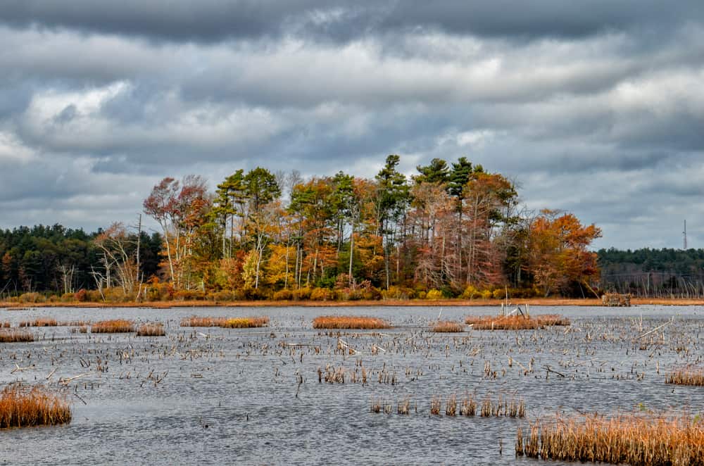 ccimage-shutterstock_1924784504 Burrage Pond Wildlife Management Area