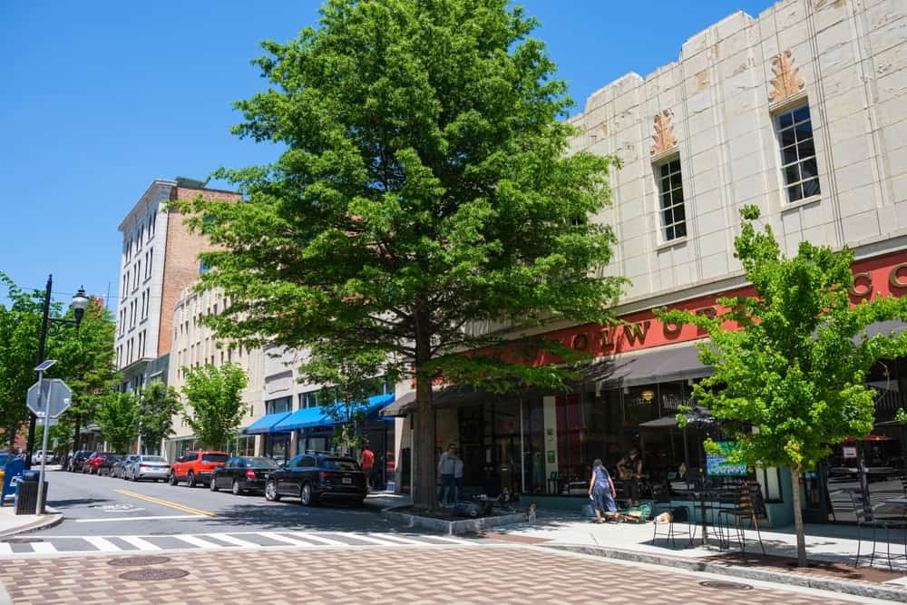 ccimage-shutterstock_2163348215 Woolworth Walk