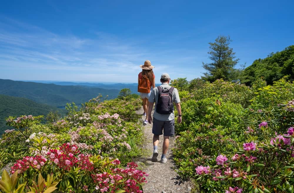ccimage-shutterstock_2172418227 Hiking in Blue Ridge Parkway