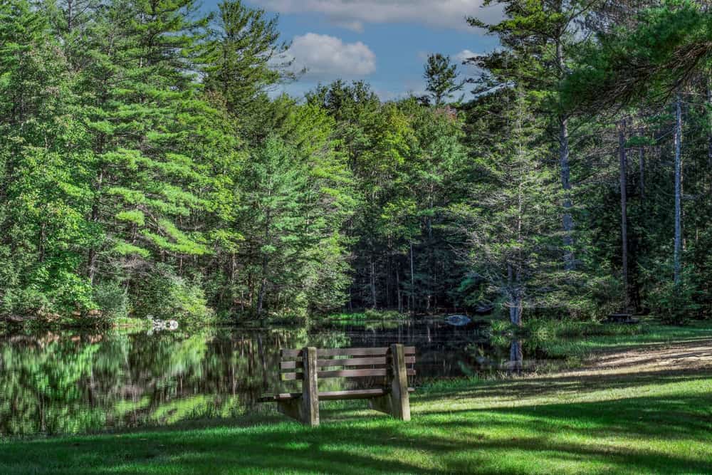 ccimage-shutterstock_2228791817 Beaman Pond, Otter River State Forest