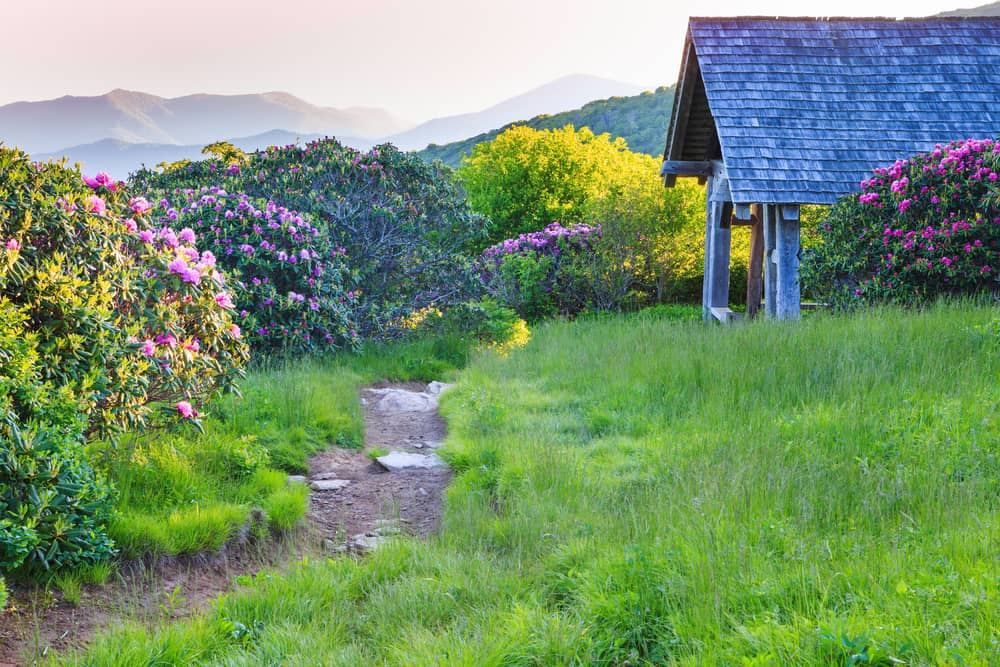 ccimage-shutterstock_437775118 Craggy Gardens