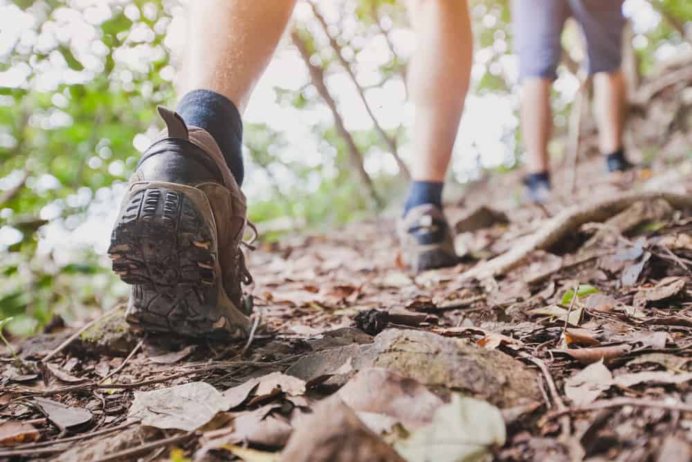 ccimage-shutterstock_509603218 Hiking