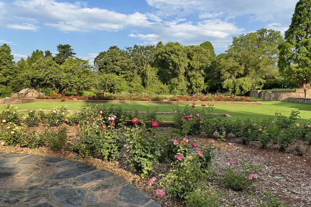 ccimage-shutterstock_633672500 Johannesburg Botanical Gardens