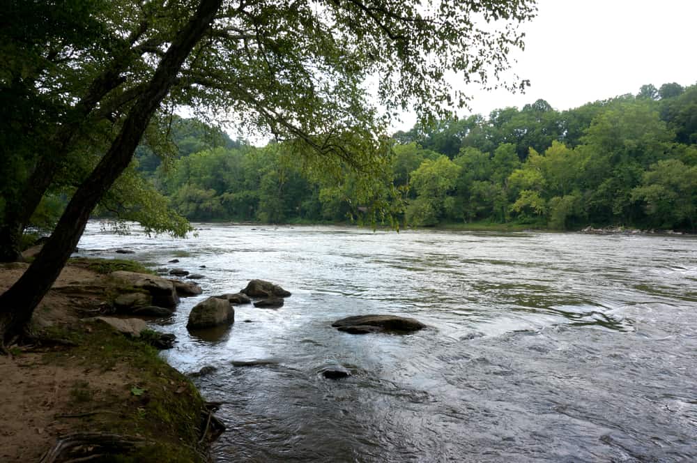 ccimage-shutterstock_692379940 French Broad River, Asheville