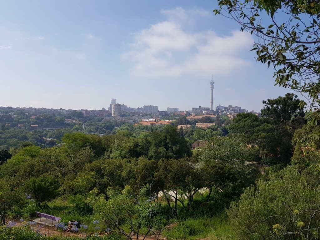 ccimage-view_of_johannesburg_from_the_wilds-1024x768-1 View of Johannesburg from The Wilds