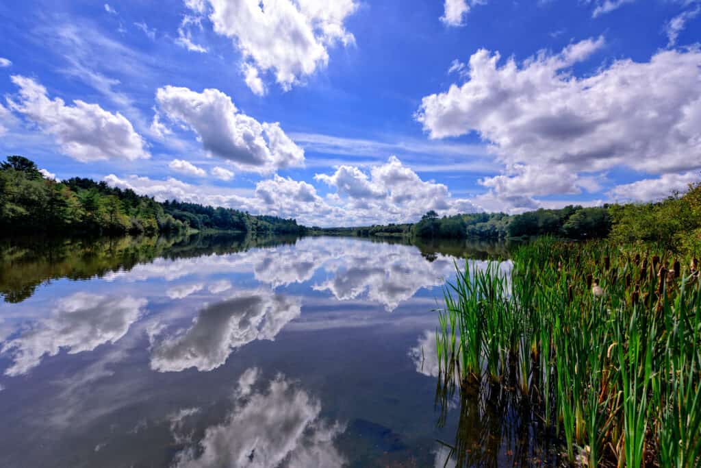 ccimage-wampatuck_pond-1-1024x683-1 Wampatuck Pond