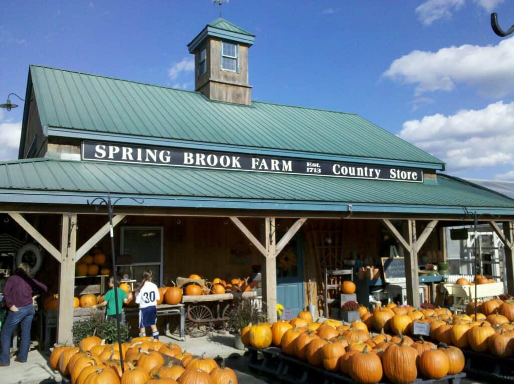 spring-brook-farm-1024x765-1 Spring Brook Farm
